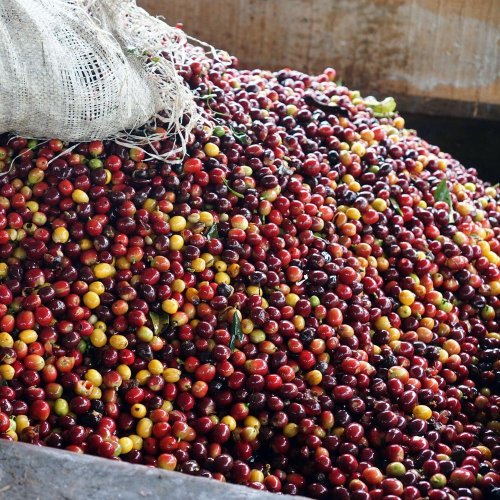 Sada Barona Café - E92° Blend 500g a JURA filtr Claris Smart +