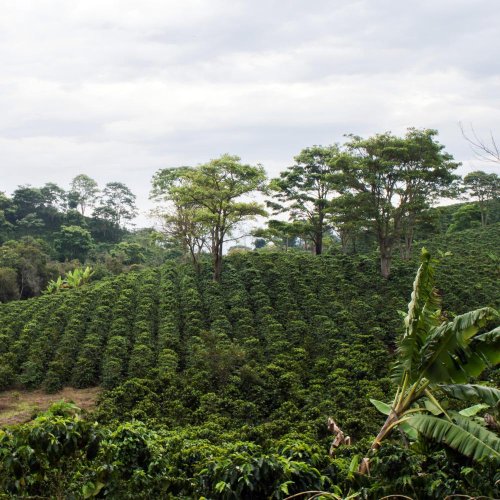 Sada Barona Café - E92° Blend 500g a JURA filtr Claris Smart +