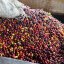 Sada Barona Café - E92° Blend 500g a JURA filtr Claris Smart +